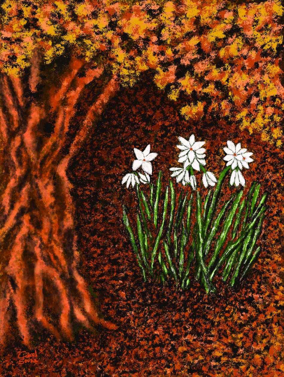 Herbstblumen autorstwa Carol Sousa Cuello