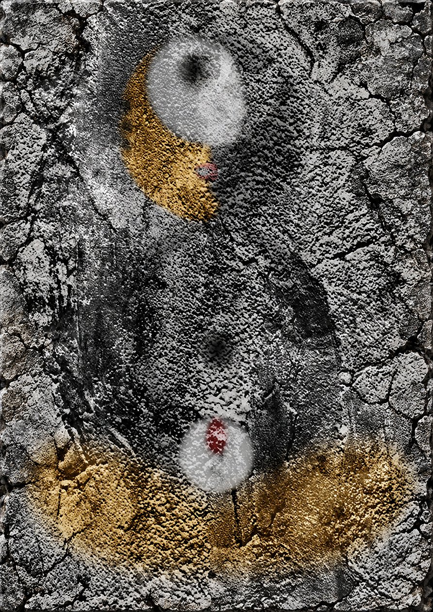 Lascaux (Graffiti) autorstwa Alexander Eibach
