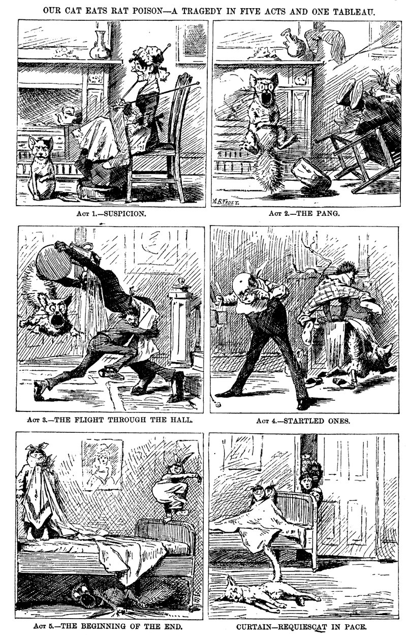 Nasz kot zjada trutkę na szczury tragedia w pięciu aktach i jednym tableau. autorstwa A. B. Frost