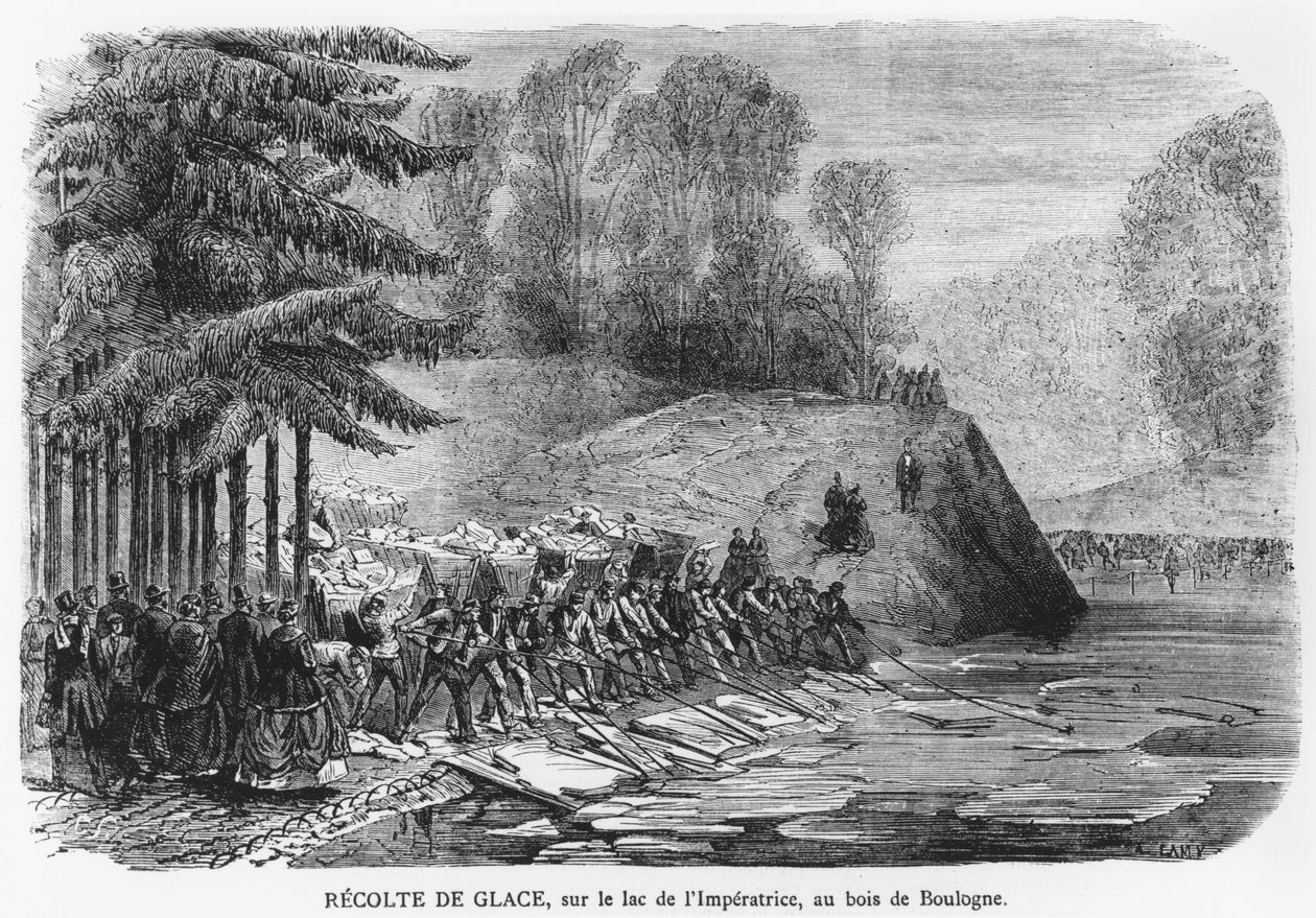 Lodowe żniwa na Jeziorze Cesarskim w Bois de Boulogne w Paryżu, ilustracja z "Le Journal Illustre", 13 lutego 1870 r. autorstwa A. Lamy