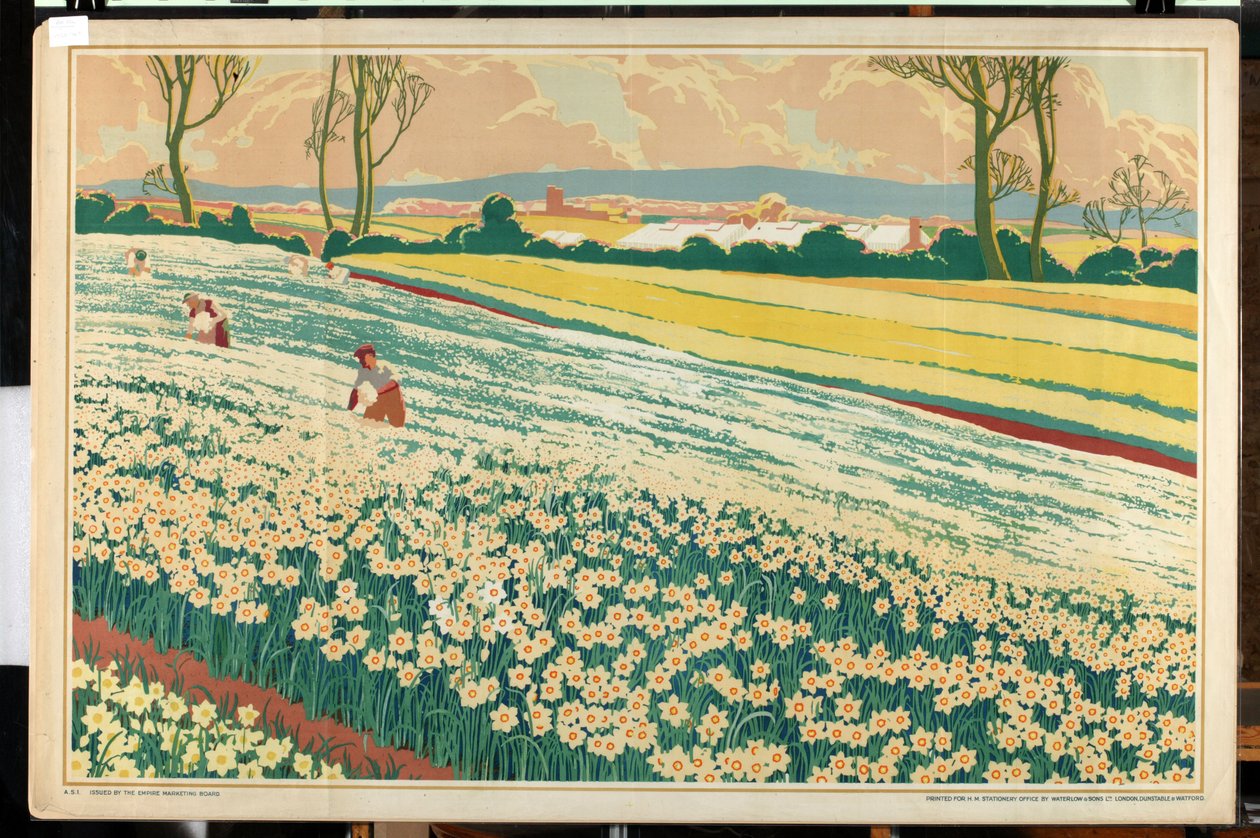 Isles of Scilly, z serii „Home Bulbs for Home Gardens” (kolor lito) autorstwa A.A. Moores