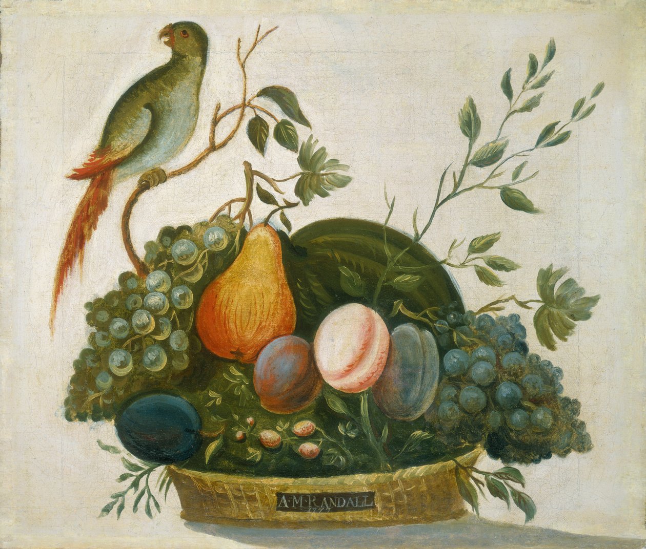 Kosz owoców z papugą, 1777. autorstwa A.M. Randall