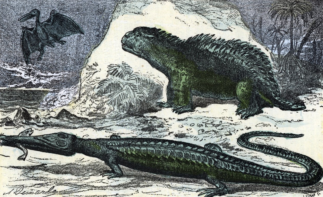 Prehistoria: przedstawienie teleozaura (wydłużający się pysk) i hileozaura z okresu jurajskiego” (Prehistoria, jura: teleozaur i hilaeozaur) Rycina z „” Natura i człowiek”” Rengade 1881 Zbiory prywatne autorstwa A. Demarle
