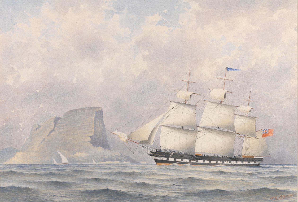 Kliper "Norwood" (1854), ok. 1854-57 (akwarela) autorstwa A. E. Morris