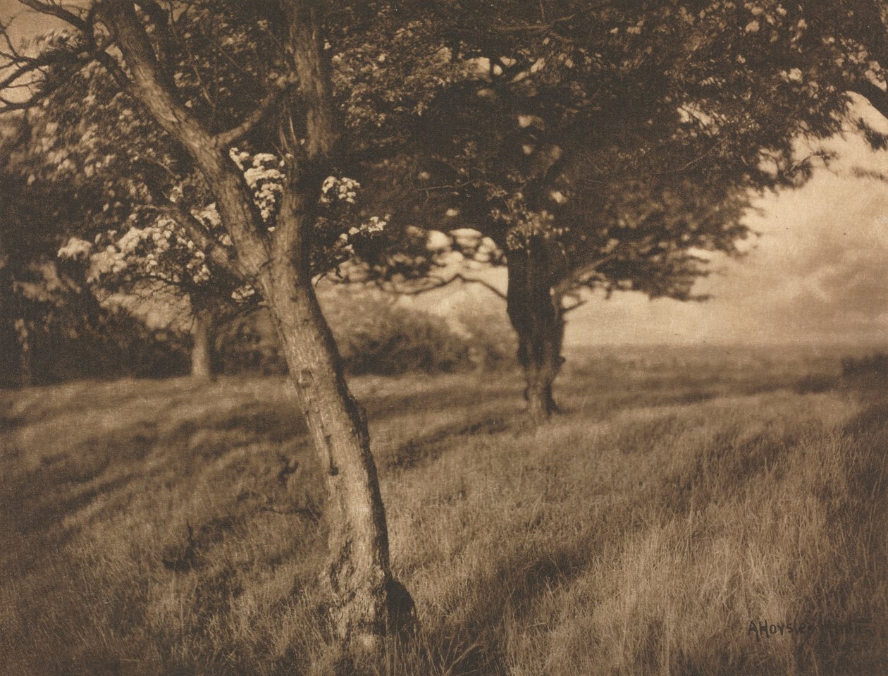 Praca kamery: poza autorstwa A. Horsley Hinton