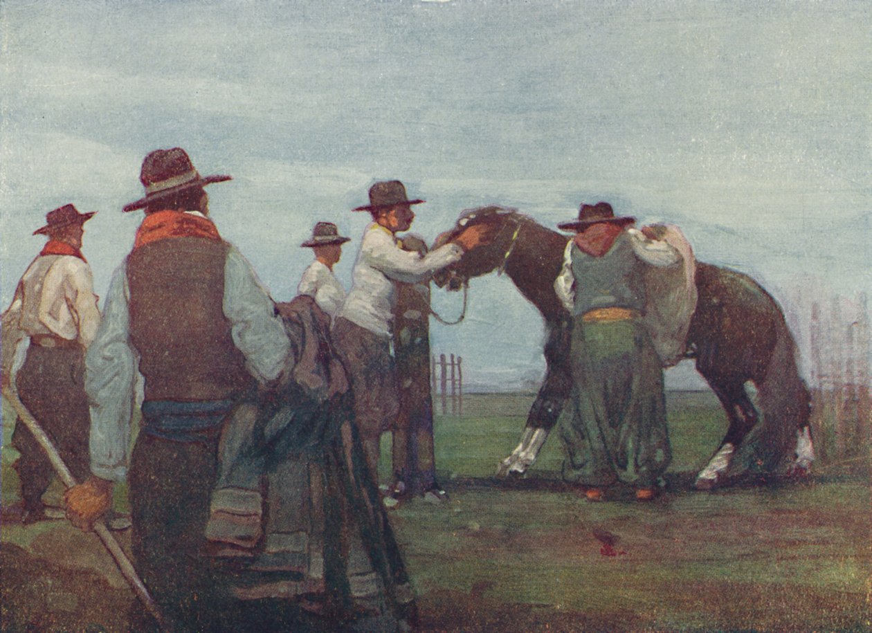 Gauchos włamuje się do młodego konia, 1916 autorstwa A. S. Forrest