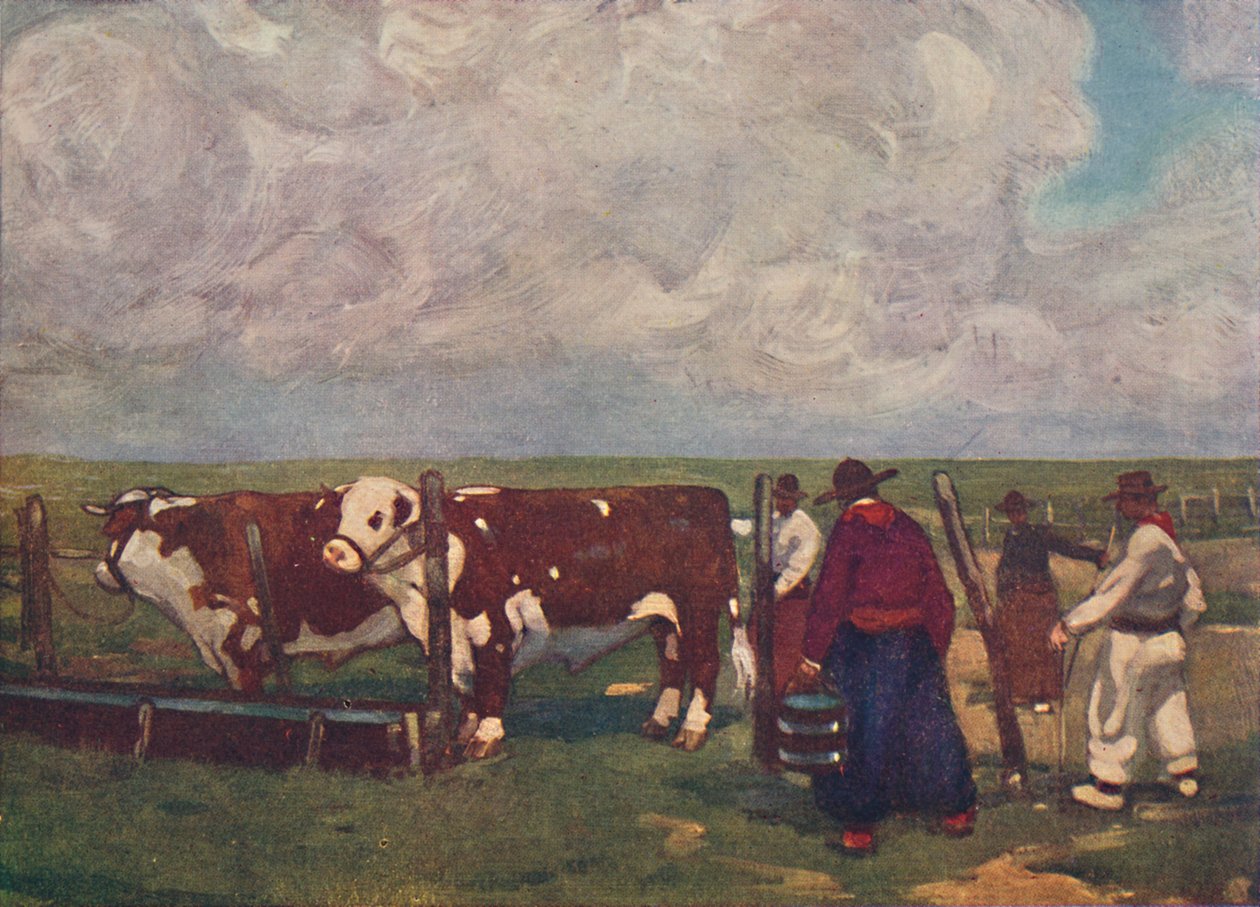 Rodowód Woły na Lemco Estancia, 1916 autorstwa A. S. Forrest