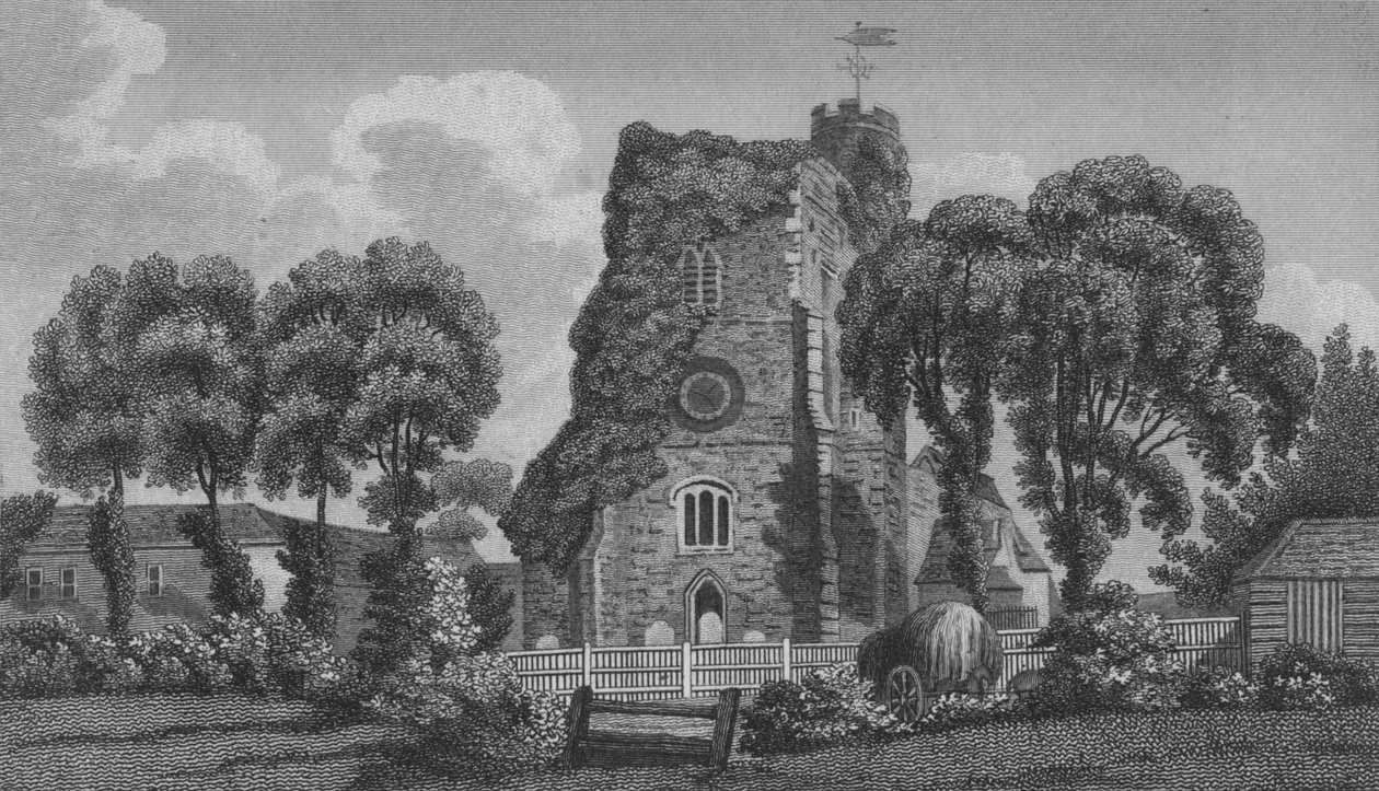 Północne Mimy, 1806 autorstwa A Warren
