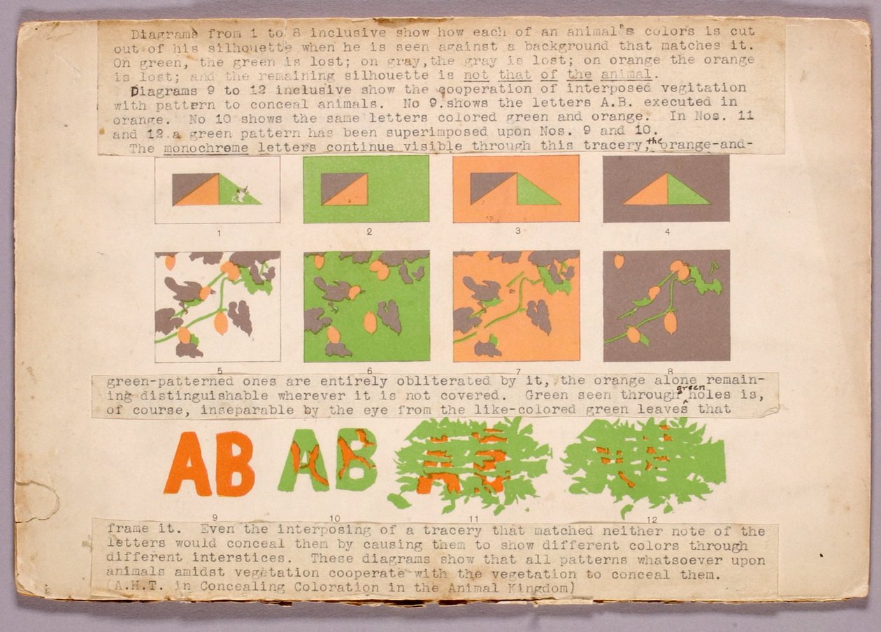 Diagramm und Kupferkopfschlange, Studienmappe für das Buch Concealing Coloration in the Animal Kingdom autorstwa Abbott Handerson Thayer