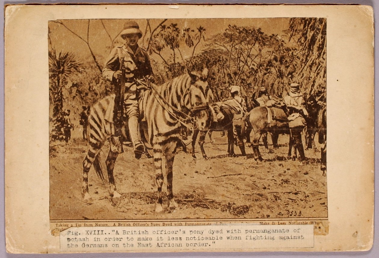 Horse and Cruiser Camouflaged, folder do książki Concealing Coloration in the Animal Kingdom autorstwa Abbott Handerson Thayer
