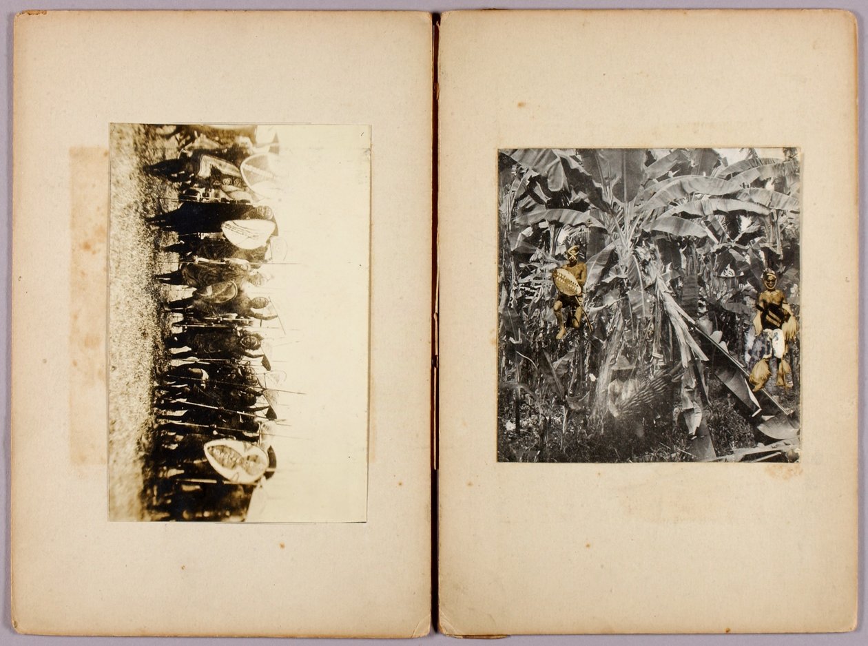 Maorysi i inni dzicy, teczka studiów do książki Concealing Coloration in the Animal Kingdom autorstwa Abbott Handerson Thayer