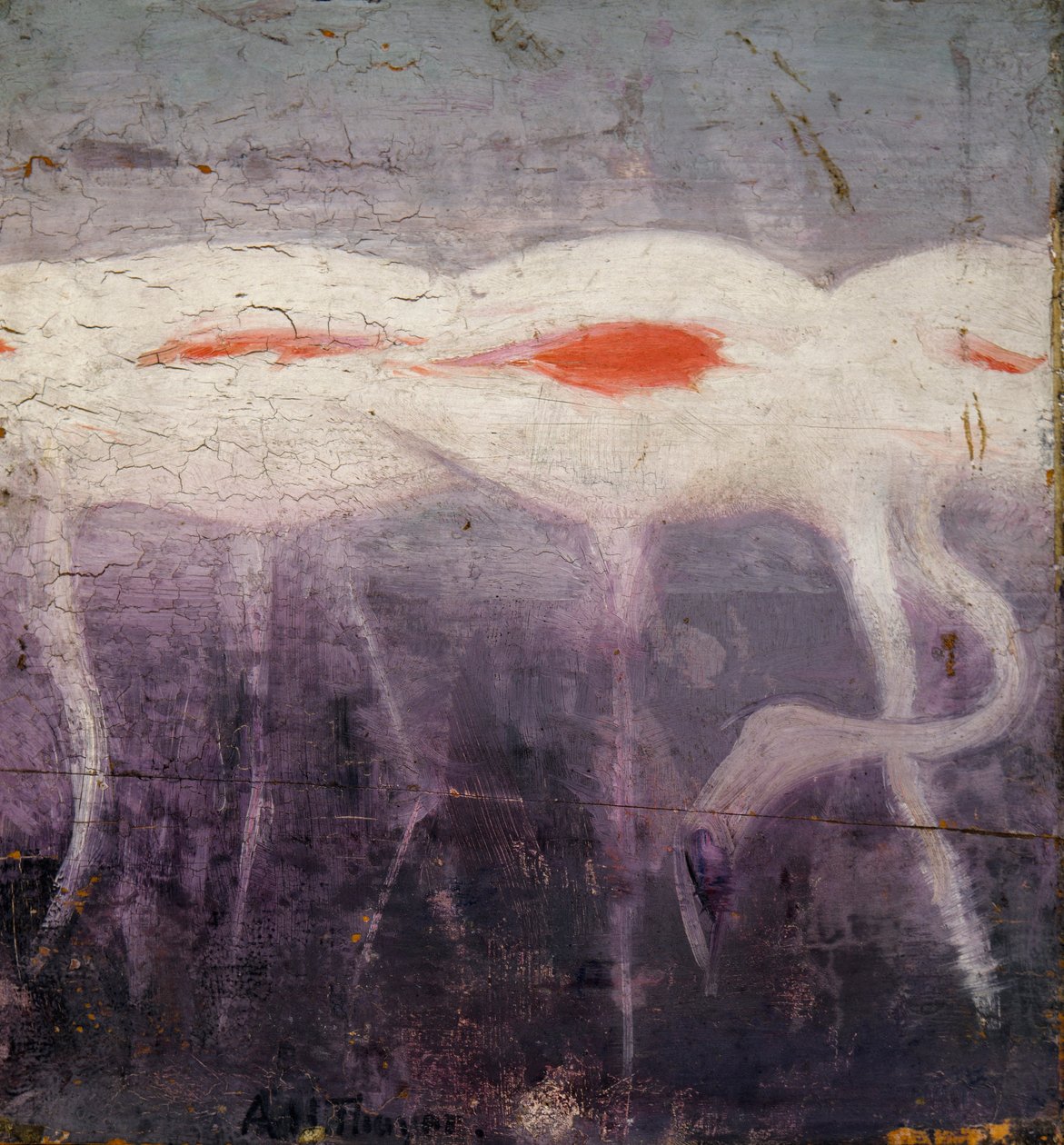 Białe flamingi, opracowanie do książki Concealing Coloration in the Animal Kingdom autorstwa Abbott Handerson Thayer