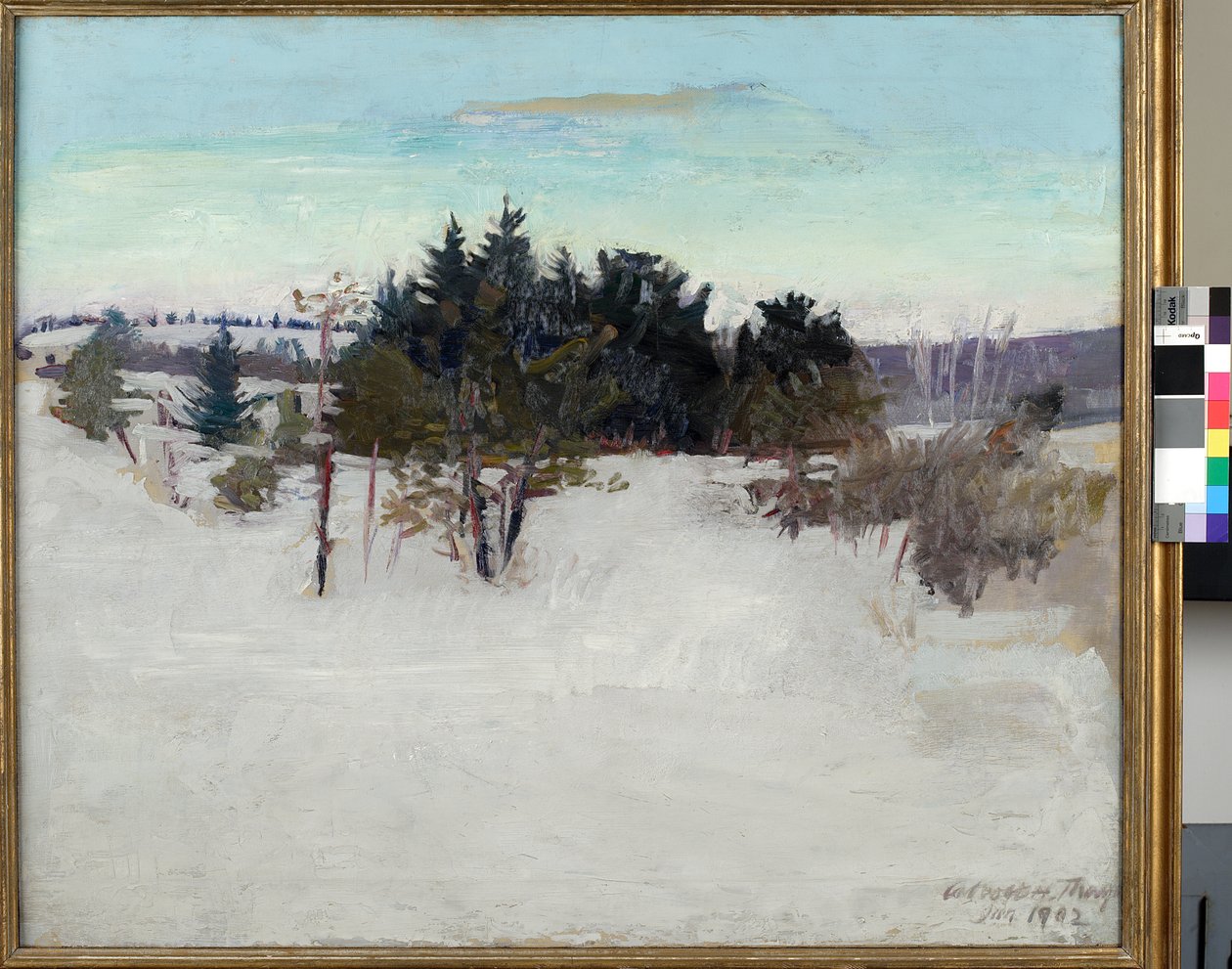 Pejzaż zimowy, 1902 autorstwa Abbott Handerson Thayer