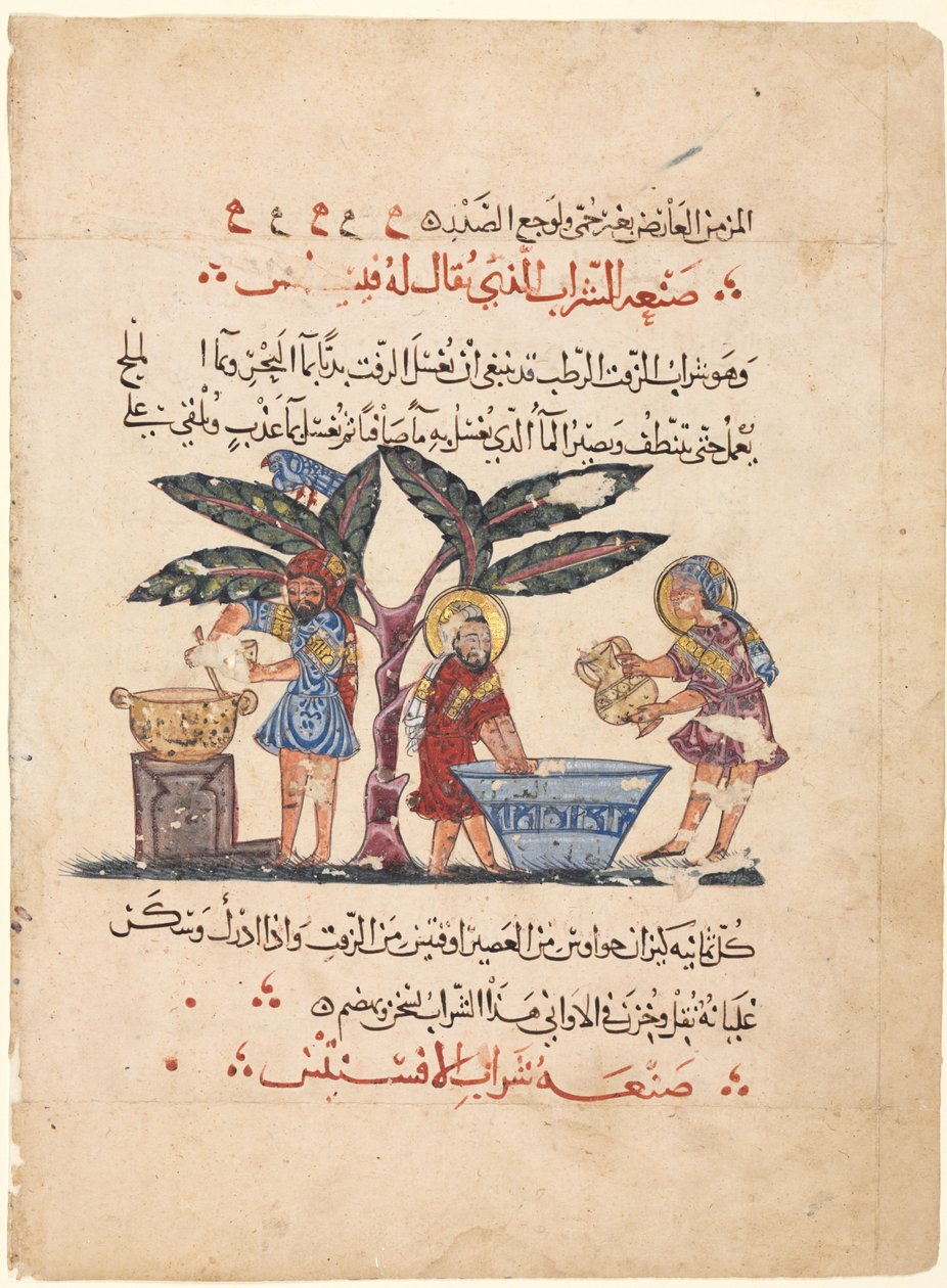 Folio z arabskiego tłumaczenia Materia Medica Dioscorides, 1224. autorstwa Abdallah ibn al Fadl