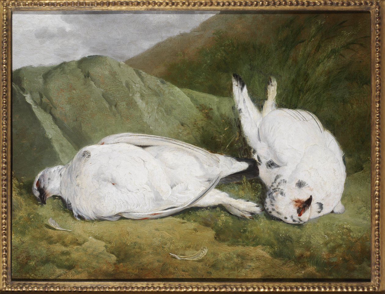 Ptarmigan autorstwa Abel Hold