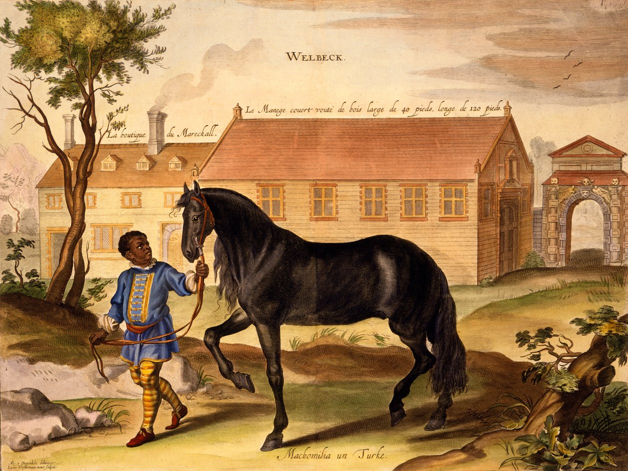 Makomilia, Turczynka, prowadzona przez murzyńskiego chłopca stajennego w liberii, z „The Method and New Invention of Dressing Horses” Williama Cavendisha, wydanej w 1737 (2 edn) (akwatinta) autorstwa Abraham van Diepenbeeck