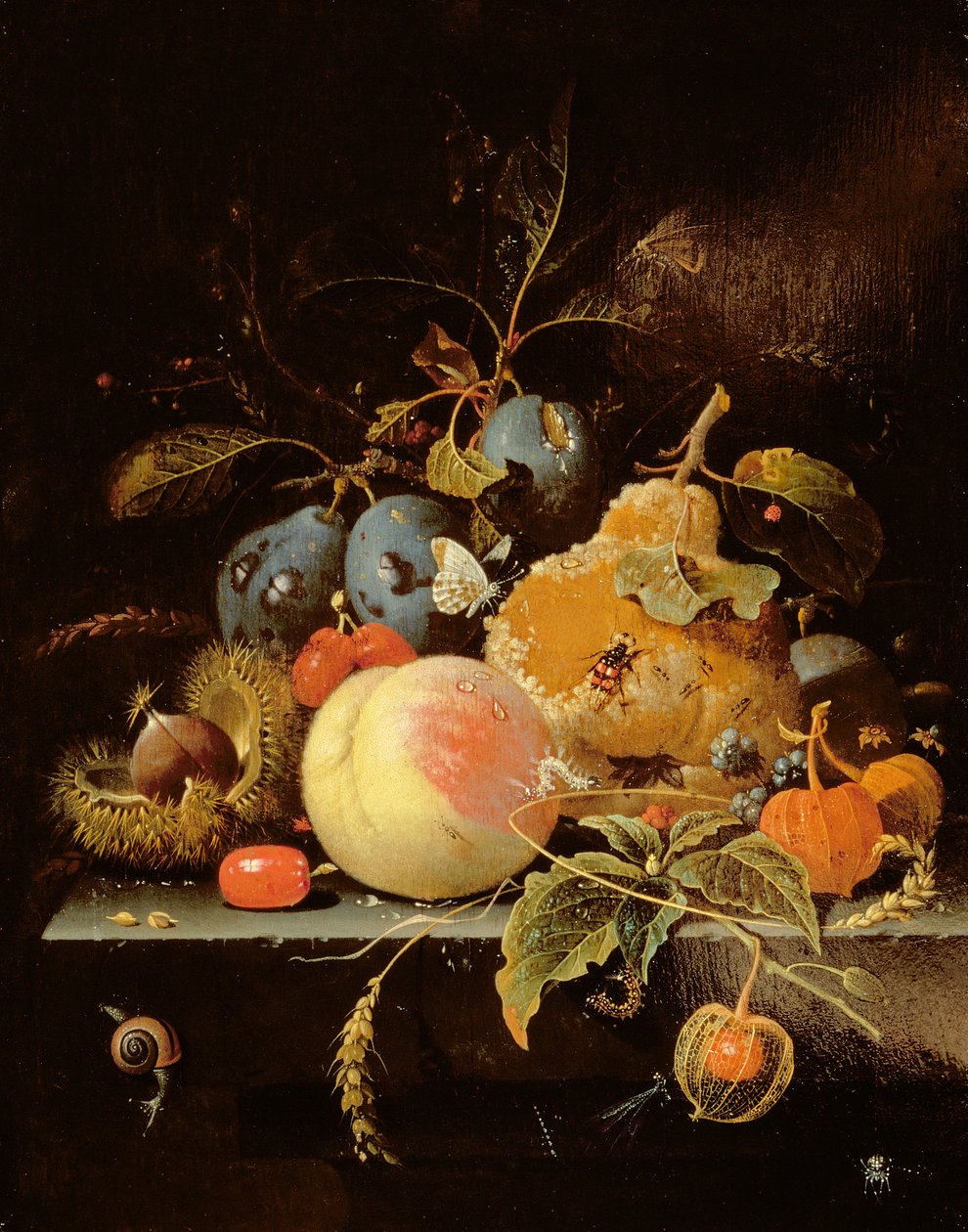 Martwa natura z owoców i orzechów na kamiennej półce autorstwa Abraham Mignon