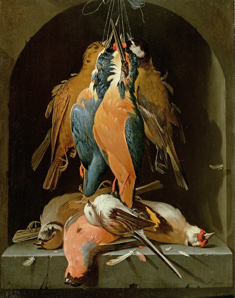 Martwa natura ptaków autorstwa Abraham Mignon
