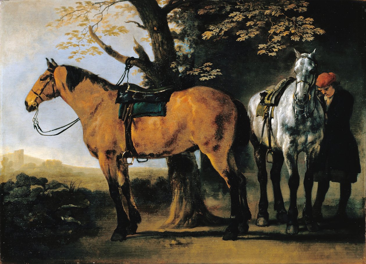 Dwa konie autorstwa Abraham van Calraet