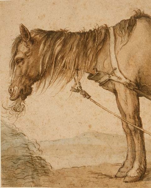 PD.159-1963 Konie jedzące siano, ok.1600-10 (pióro i atrament, pranie) autorstwa Abraham Bloemaert