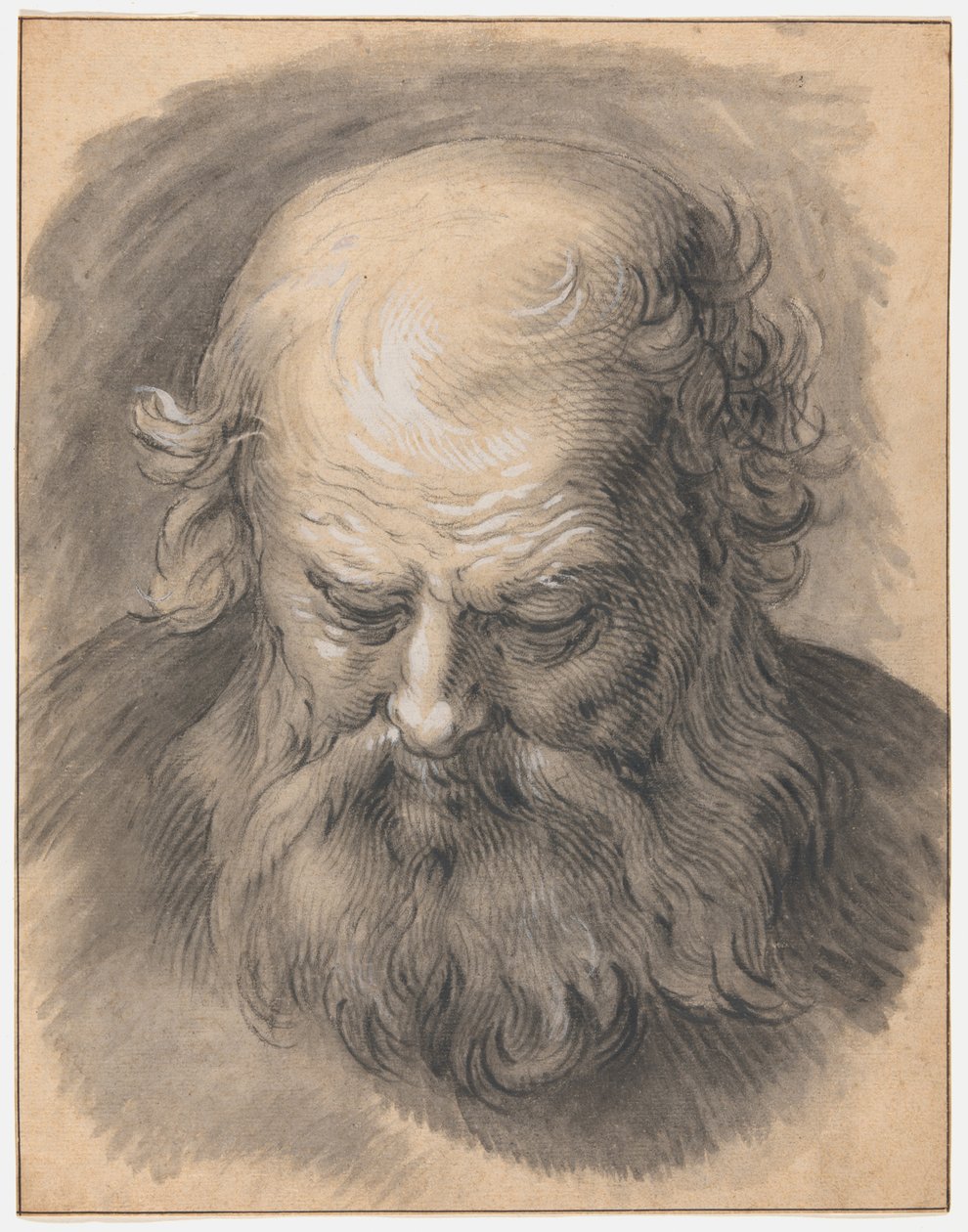 Studium głowy brodatego mężczyzny autorstwa Abraham Bloemaert