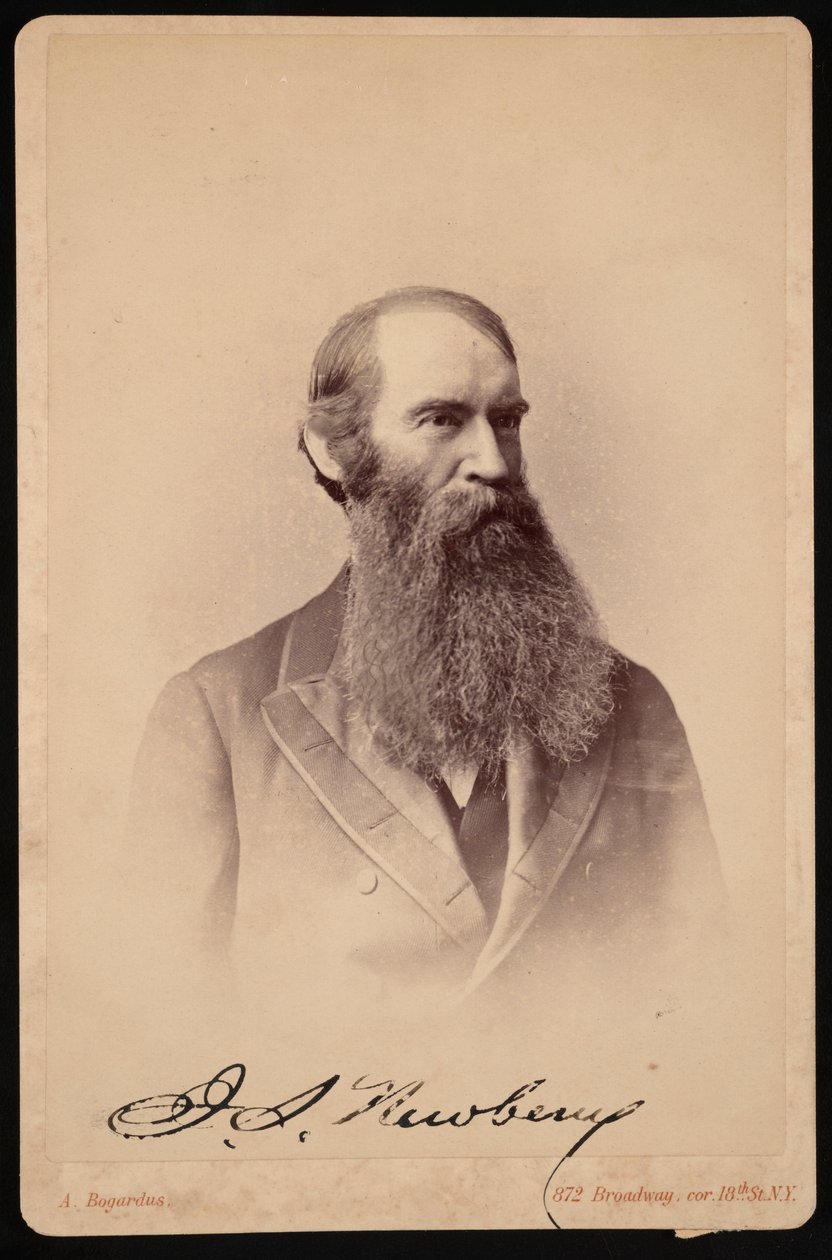 Portret Johna Stronga Newberry 1822-1892, w latach 1876-1887. autorstwa Abraham Bogardus
