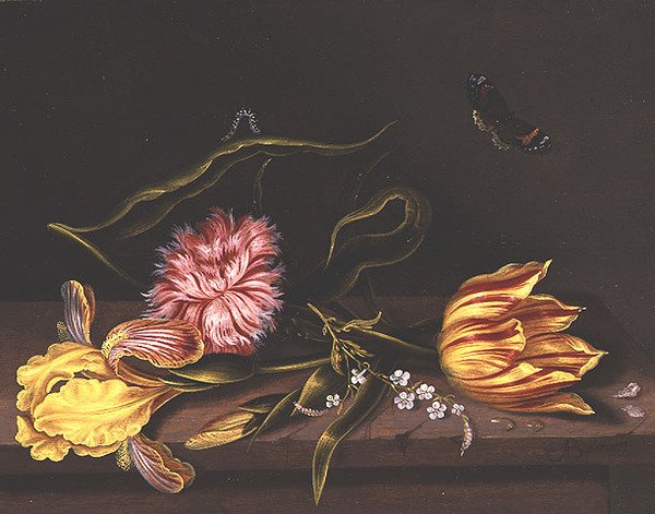 Martwa natura z kwiatami na stole, autorstwa Abraham Bosschaert