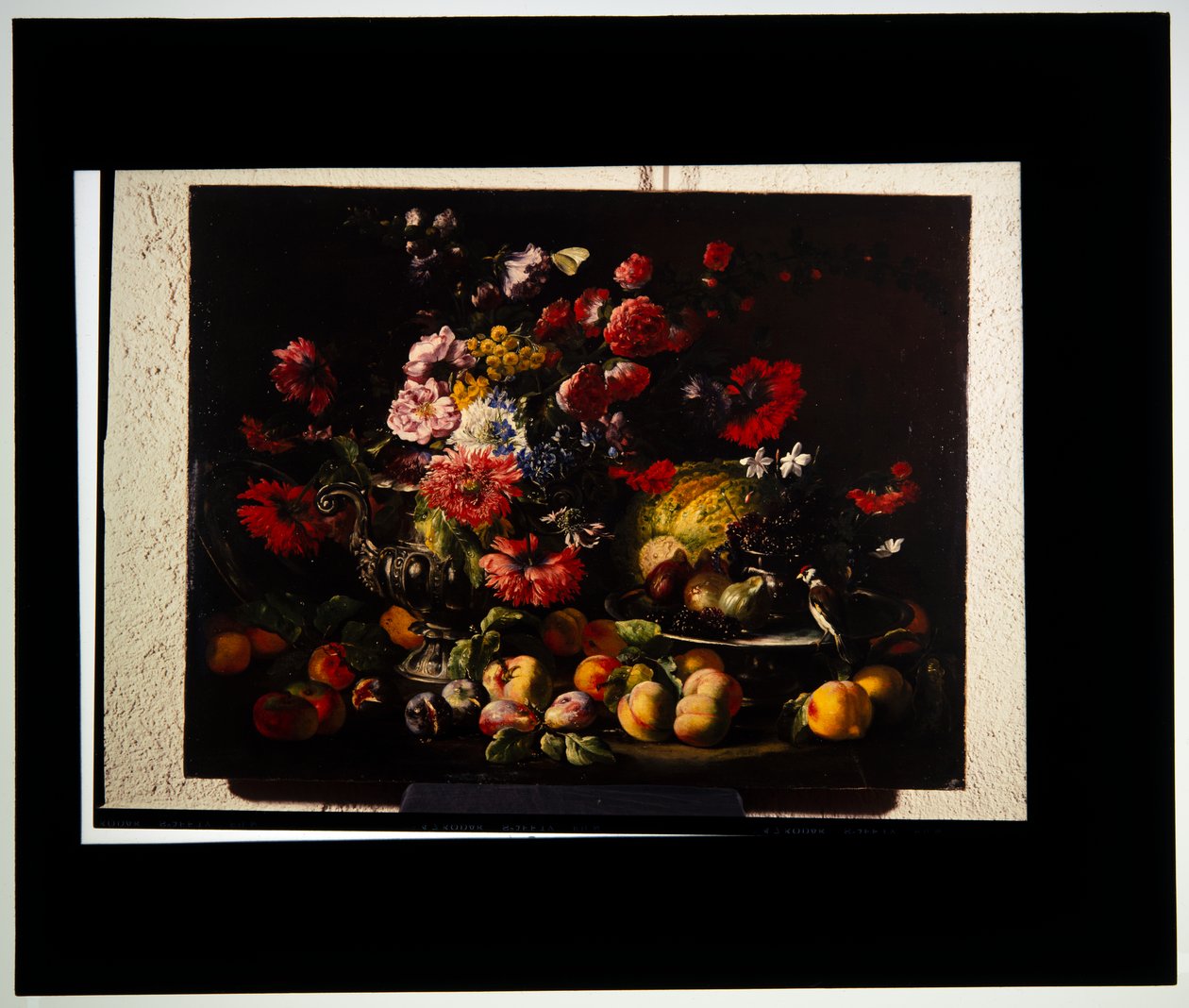 Para martwych natur autorstwa Abraham Brueghel