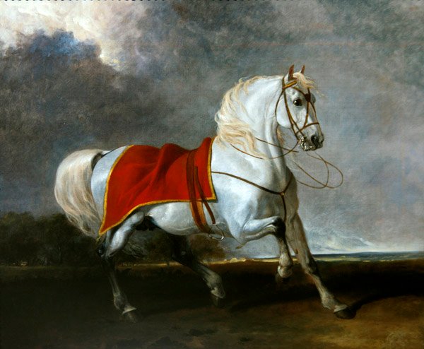 Osiodłany szary ładowacz przestraszony burzą, zwany „Millenium” autorstwa Abraham Cooper