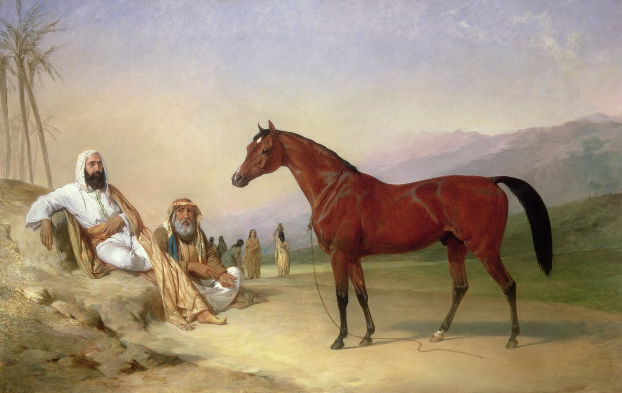 Dwóch Beduinów z gniadym arabskim ogierem na pustyni autorstwa Abraham Cooper