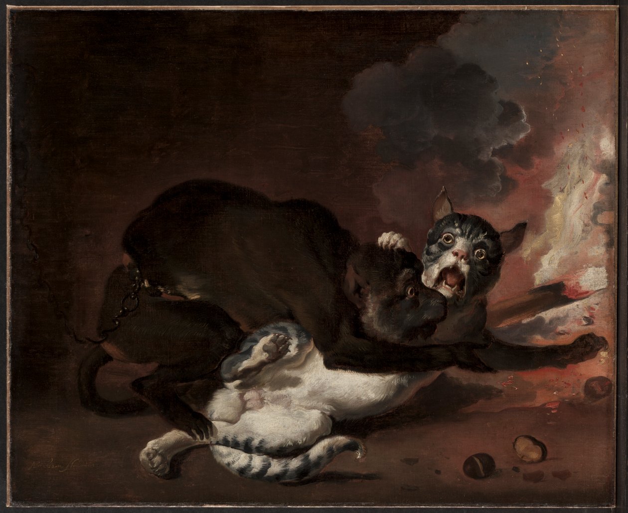 Małpa i kot, prawdopodobnie lata 70. XVII w. (olej na płótnie) autorstwa Abraham Danielsz. Hondius
