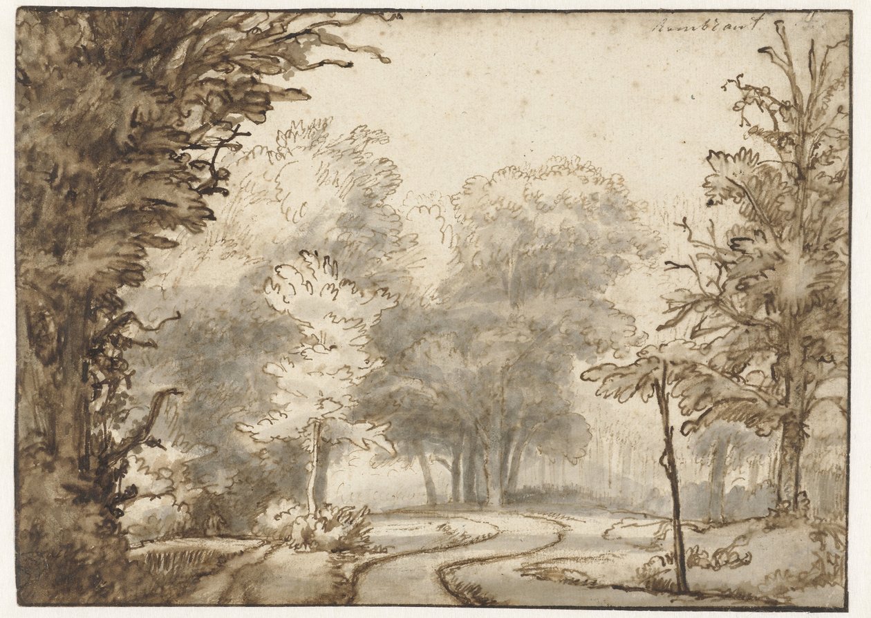 Droga przez las autorstwa Abraham Furnerius