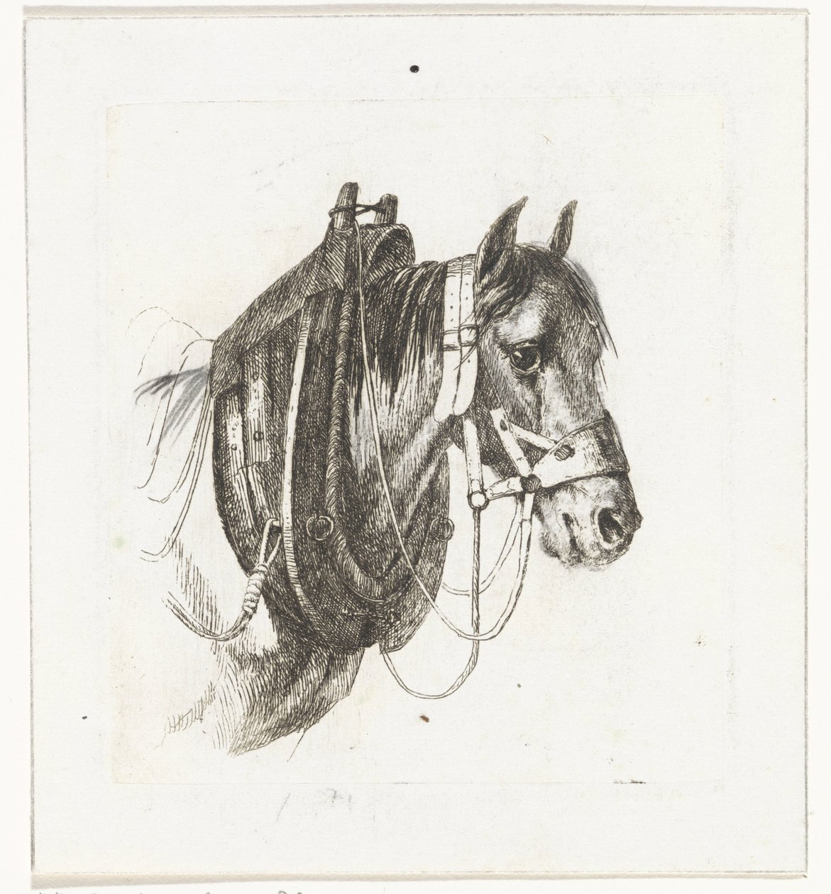Głowa konia z uzdę, uprząż i siodło autorstwa Abraham Hendrik Winter