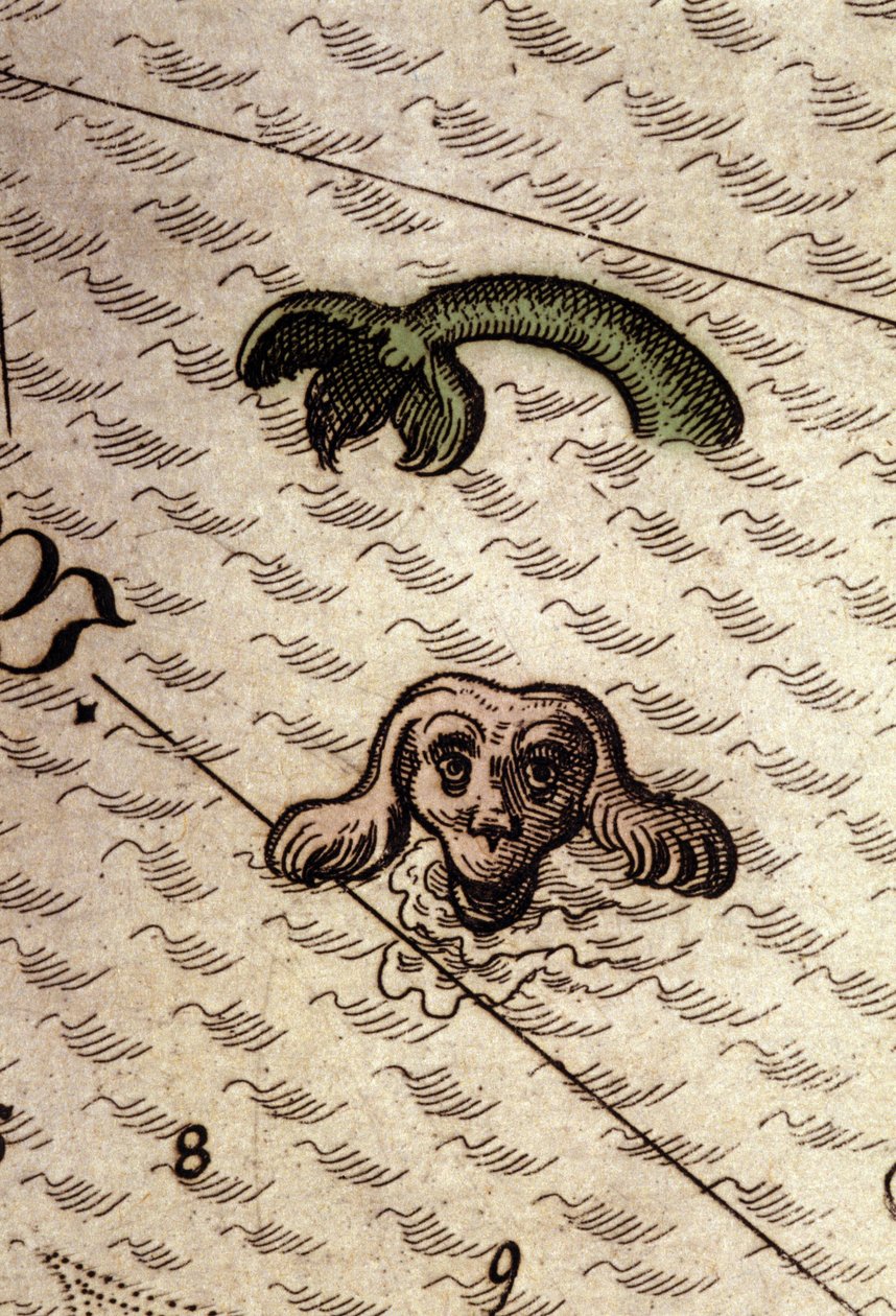 Morski potwór ma głowę psa i ciało ryby. Fragment mapy w „Theatrum Orbis Terrarum” Abrahama Orteliusa, Antwerpia 1584. autorstwa Abraham Ortelius