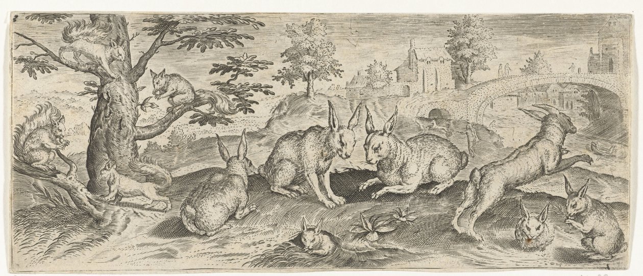 Wiewiórki i Króliki Zwierzęta (tytuł serii) autorstwa Abraham de Bruyn (possibly)