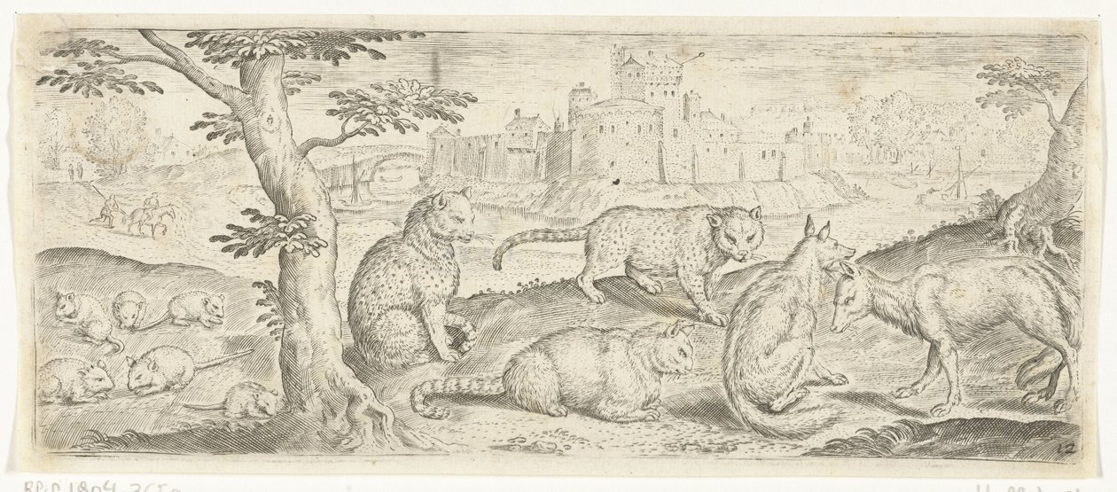 Szczury, koty i lisy Zwierzęta (tytuł serii) autorstwa Abraham de Bruyn (possibly)