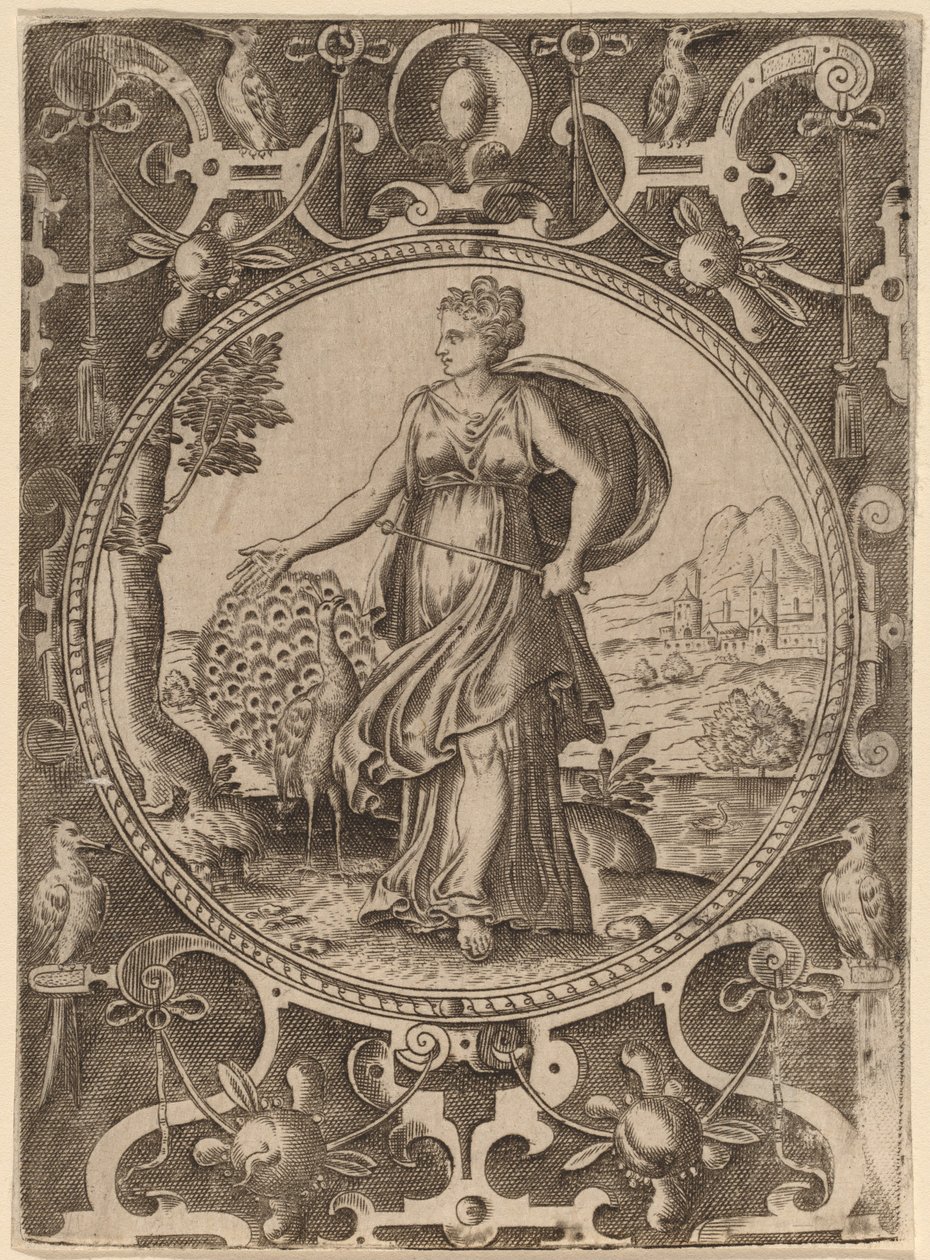 Juno autorstwa Abraham de Bruyn