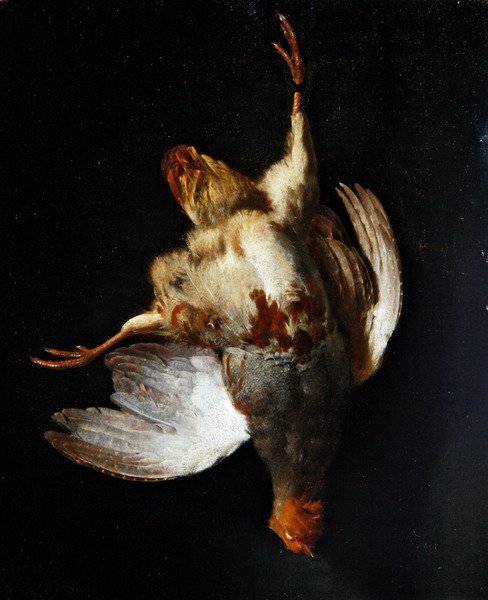 Martwa natura z kuropatwą zwisającą z gwoździa (olej na panelu) autorstwa Abraham van Calraet