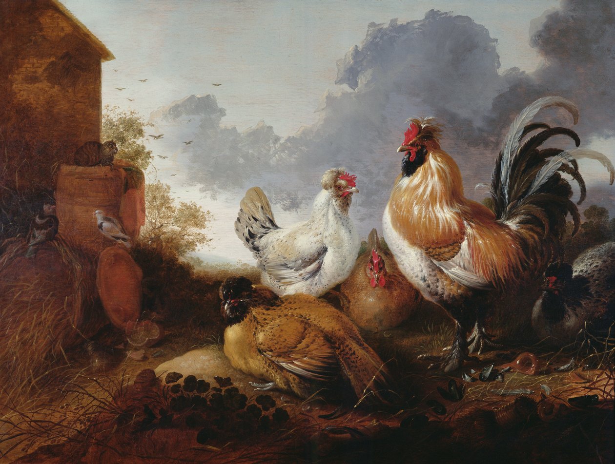 Drób w zagrodzie autorstwa Abraham van Calraet