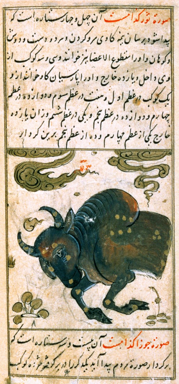 Konstelacje Zodiaku: Byk, Byk, z Talim dar marifat i taqvuim, 1498 (903 Hijra) autorstwa Abu Jafar al Tabari