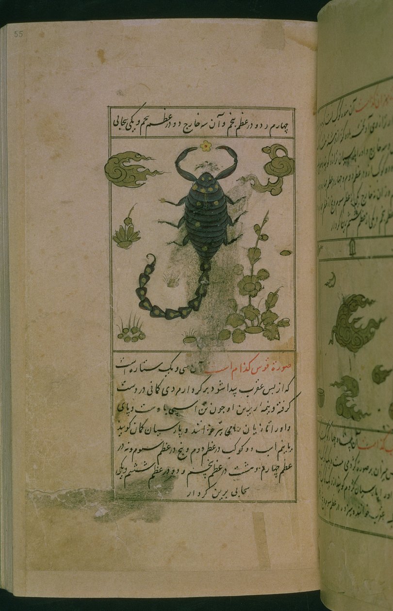 Konstelacje zodiaku: Skorpion, Skorpion, z Talim dar marifat i taqvim, 1498 (903 Hijra) (atrament) autorstwa Abu Jafar al Tabari