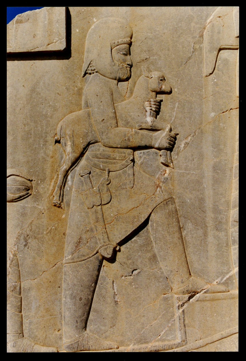 Mede niosący baranka ofiarnego po wschodnich schodach południowego portyku pałacu Dariusza, ok. 485 pne autorstwa Achaemenid