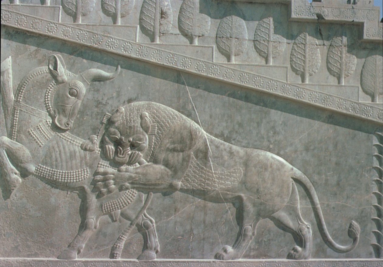 Relief na wschodnich schodach Apadany (sali audiencyjnej) przedstawiający lwa walczącego z bykiem, okres achemeński, ok. 515 pne (wapień) autorstwa Achaemenid