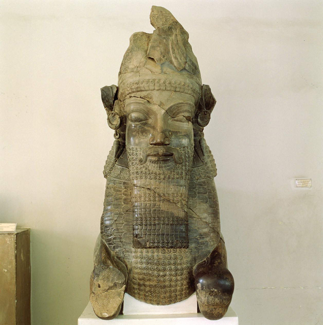Kapitał z ludzką głową, z Tripylonu, Persepolis, Iran, 500-480 p.n.e. autorstwa Achaemenid