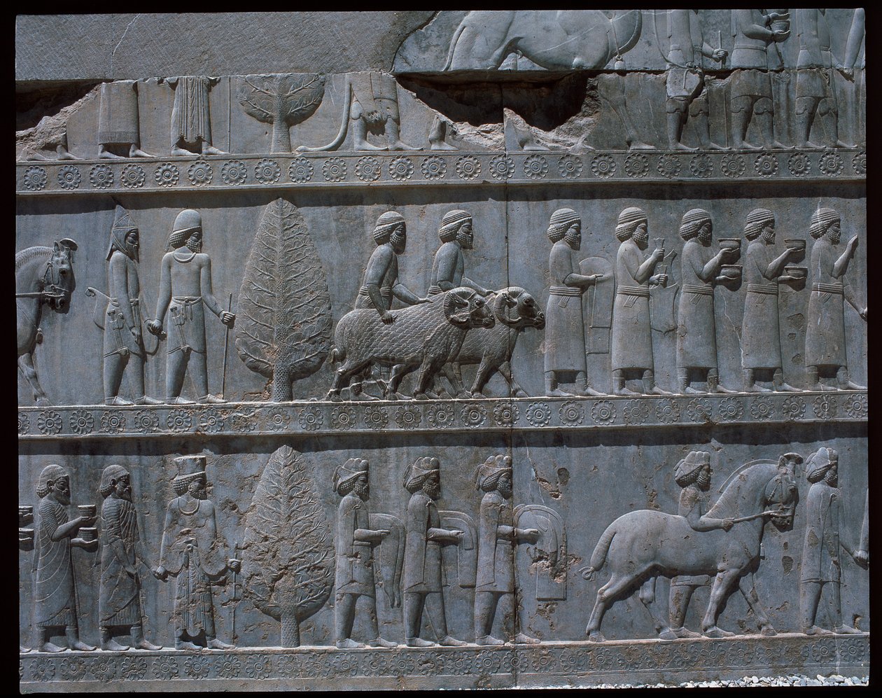 Widok na płaskorzeźby schodów wschodnich autorstwa Achaemenid