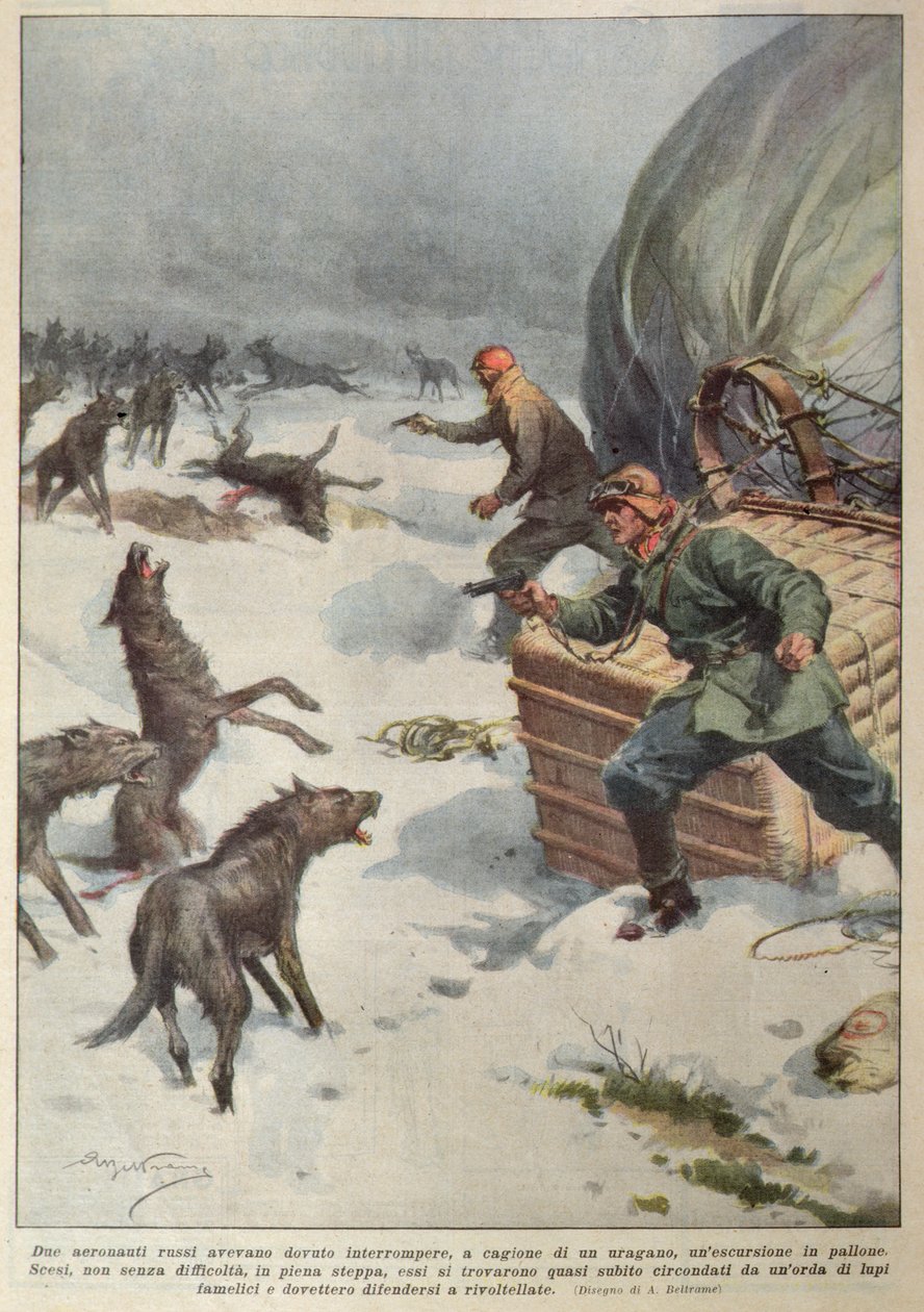 Stada wilków atakujące załogę uziemionego rosyjskiego balonu na ogrzane powietrze, ilustracja z „La Corriere della Sera” autorstwa Achille Beltrame