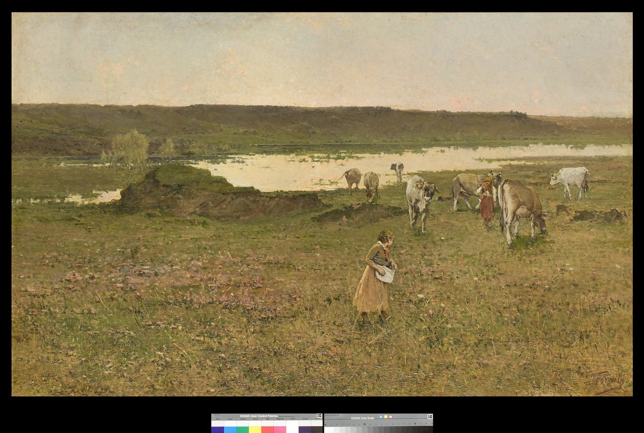 Pastwisko w dolinie, 1906 autorstwa Achille Formis Befani