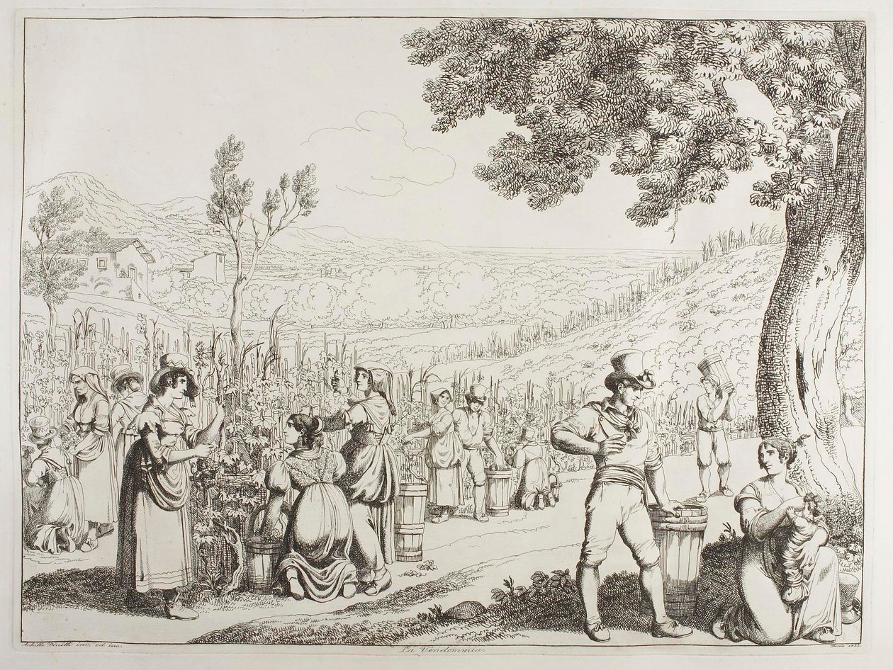Winobranie autorstwa Achille Pinelli