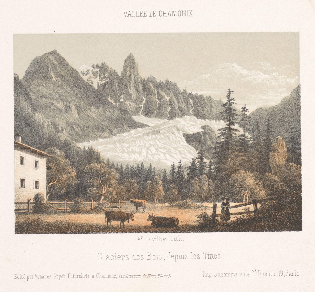 Widok na Chamonix i Mont Blanc od północy Chamonix et le Mont Blanc. Côte du Nord (tytuł na obiekcie) Pamięć Chamonix-Mont-Blanc (tytuł serii) Museum du Mont Blanc (tytuł serii) autorstwa Ad. Cuvillier