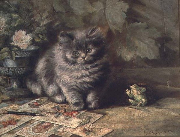 Portret kotka autorstwa Ada Eliza Tucker